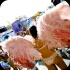 fantasy_carnival_tuesday_2014-111