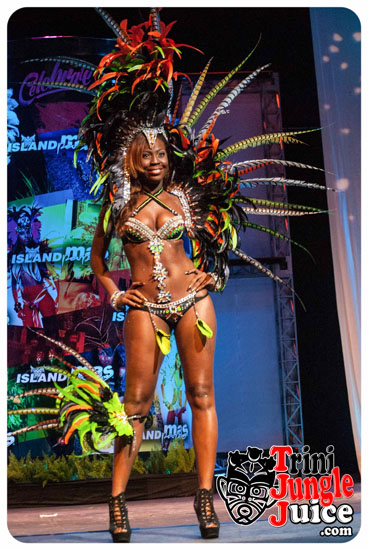 island_people_2015_band_launch-059