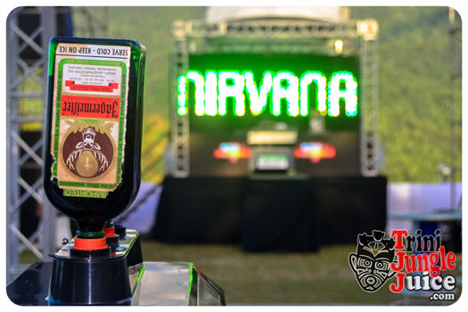 nirvana_2014-012