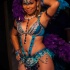 trini_revellers_2015_band_launch-086