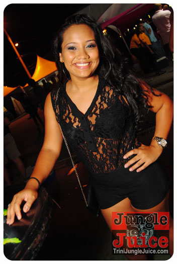 xcite_2014-044